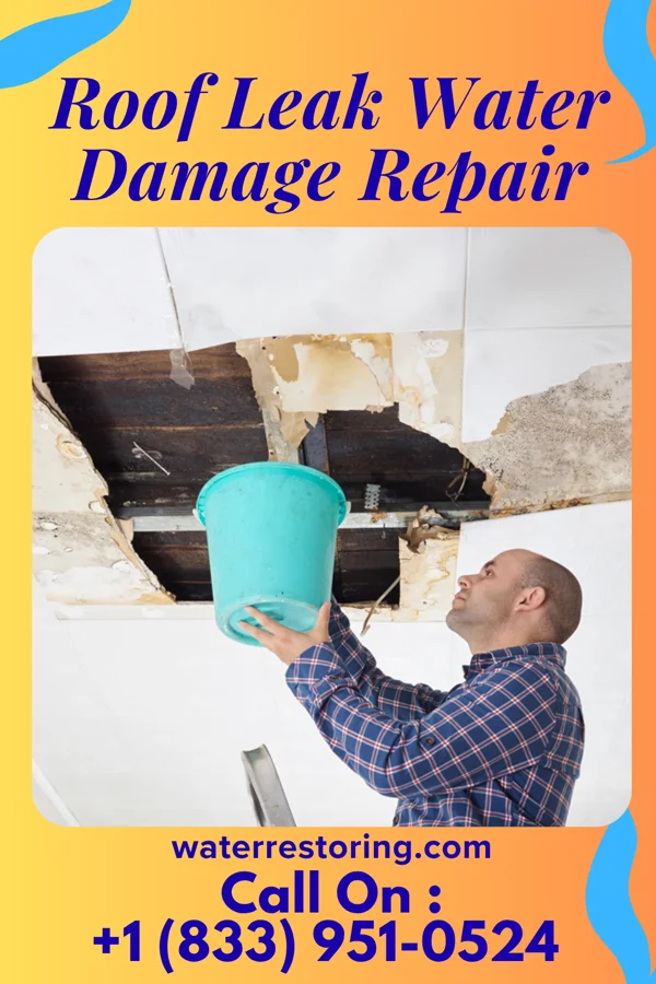 Roof Leak Water Damage Repair in Castleford, ID